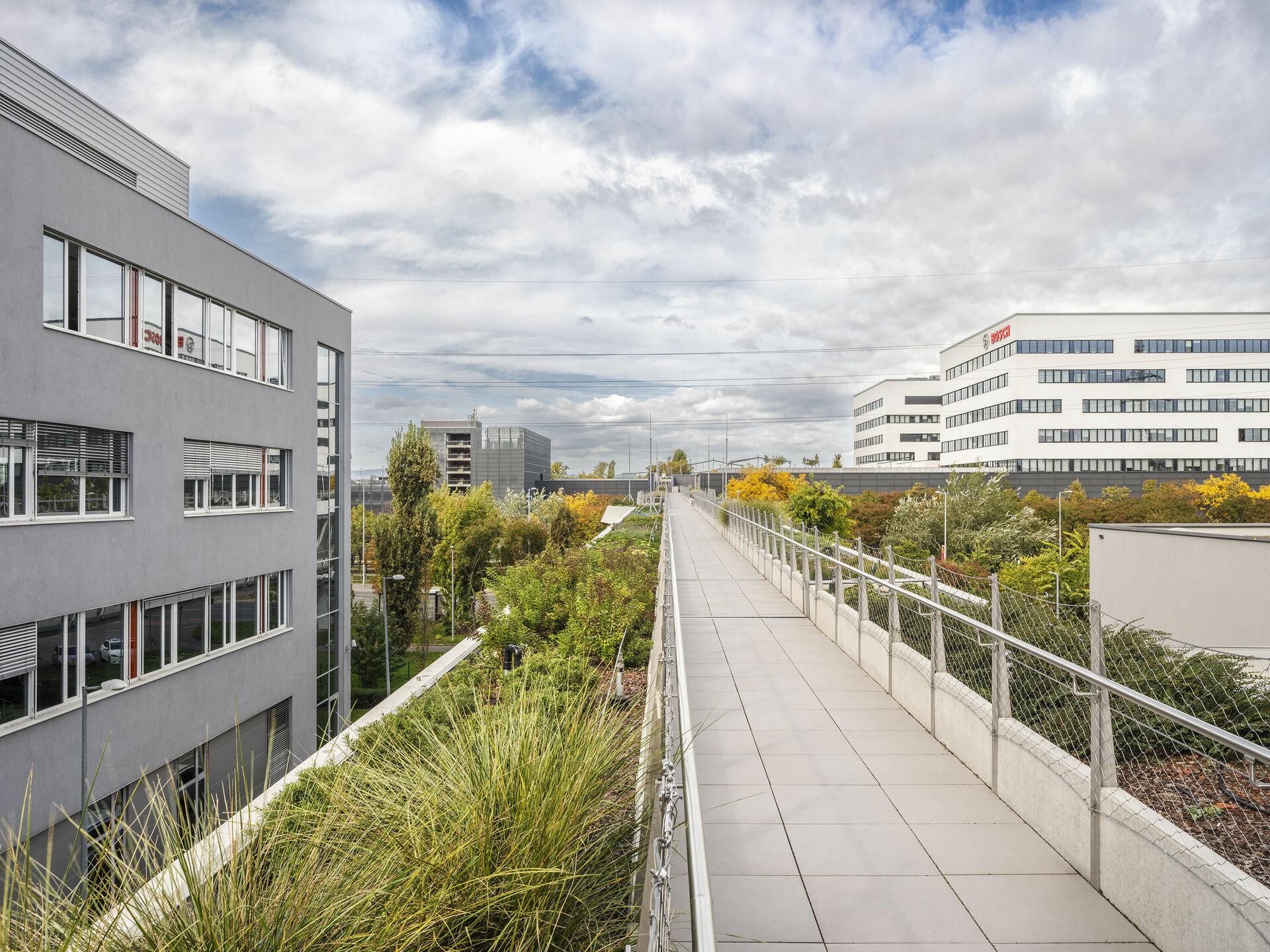 Bujnovszky Tamás - Bosch Campus gyalogoshíd, Budapest - 2023