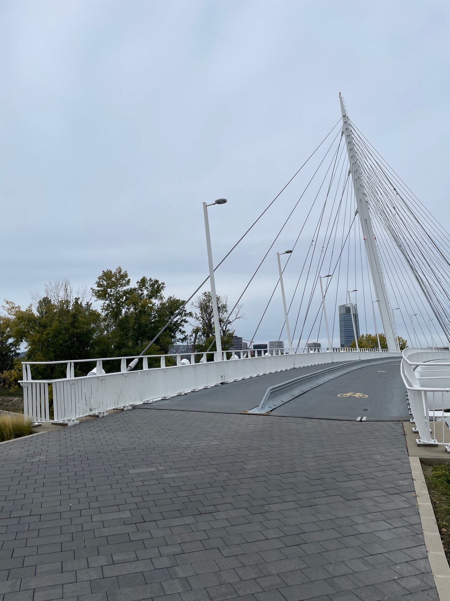 Vigh Attila - Robinson híd, Budapest - 2025