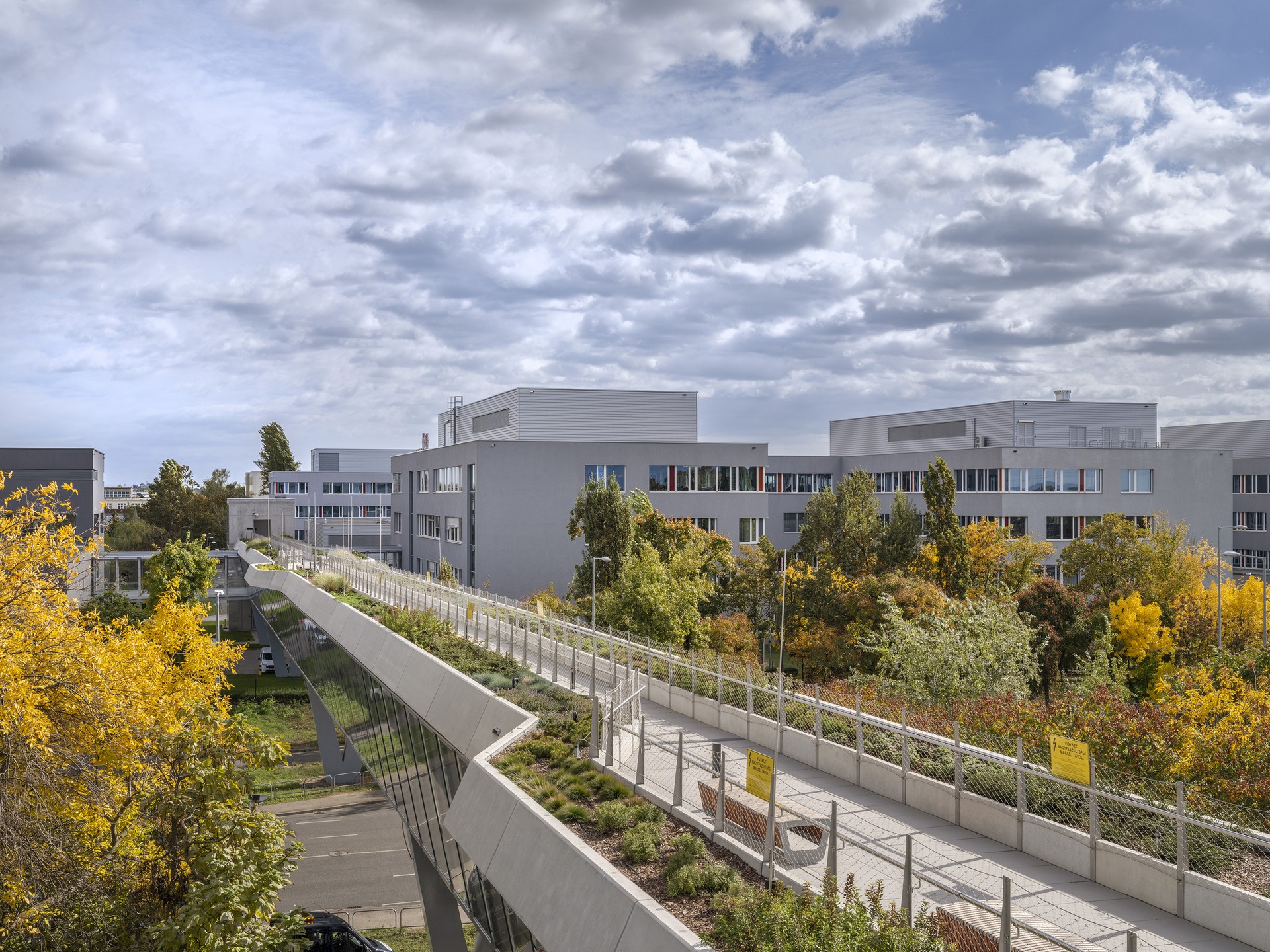 Bujnovszky Tamás - Bosch Campus gyalogoshíd, Budapest - 2023